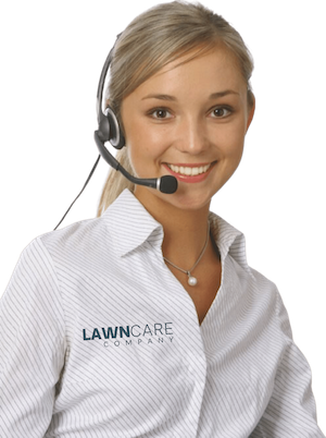 the lawn care company international